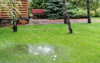 flooding on lawn due to poor backyard drainage