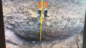 precision-grading A tape measure verifying the depth and slope of a freshly graded dirt surface to ensure proper drainage.